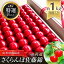 【ふるさと納税】 【令和6年産先行予約】【農林水産大臣賞受賞農家】さくらんぼ 佐藤錦 約1kg (特選 2L以上)《令和6年6月下旬～発送》 『長谷部農園』 山形県 南陽市 [1009]
