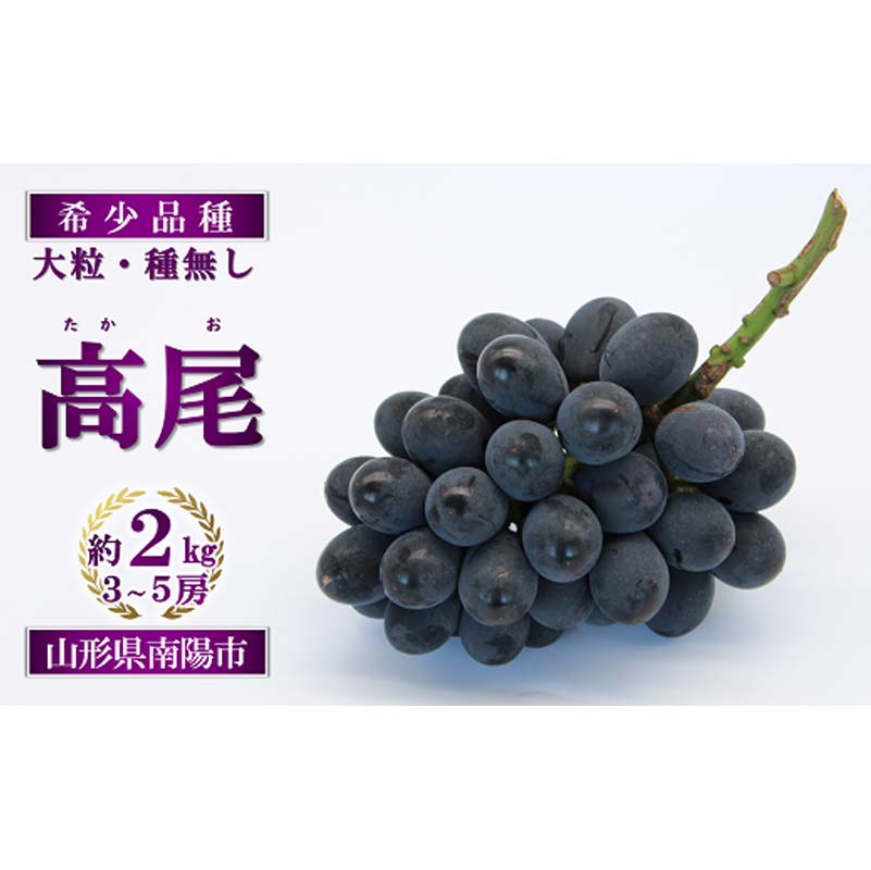 【ふるさと納税】 【令和6年産先行予約】 希少品種の黒系ぶどう 「高尾」 約2kg (3～5房) 《令和6年9月頃～発送》 『南陽中央青果市場』 山形県 南陽市 [1043]