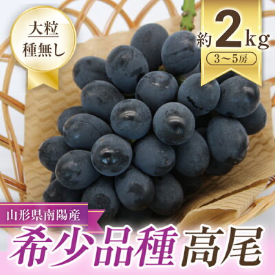 楽天ふるさと納税　【ふるさと納税】 【令和6年産先行予約】 希少品種の黒系ぶどう 「高尾」 約2kg (3～5房) 《令和6年9月頃～発送》 『南陽中央青果市場』 山形県 南陽市 [1043]