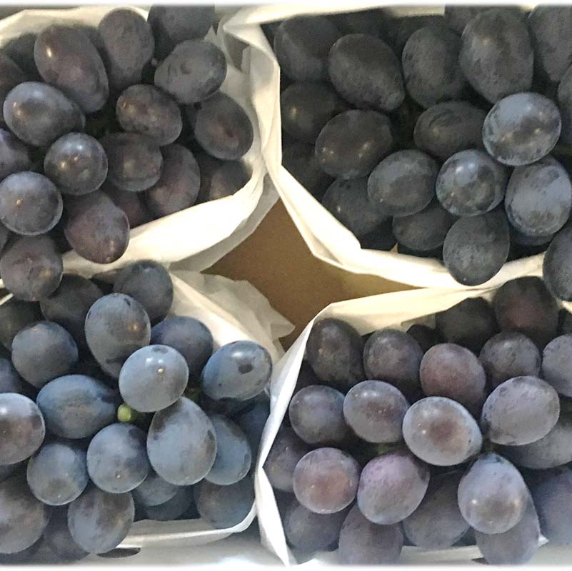 山形県南陽市の画像3