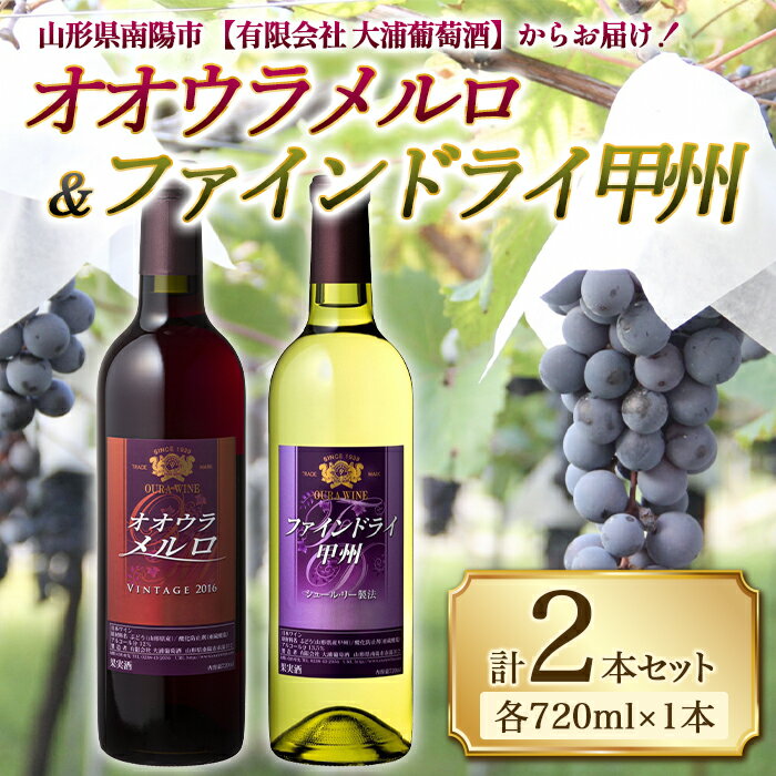 大浦葡萄酒 オオウラメルロ & ファインドライ甲州 (各720ml×1本) 『(有)大浦葡萄酒』 山形県 南陽市 [1079]