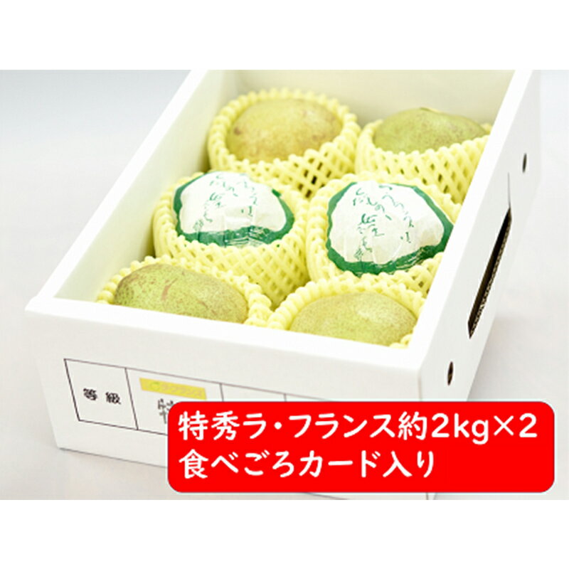 【令和6年産先行予約】 ラ・フランス 計約4kg (12～14玉 特秀 2～4L) 《令和6年11月～発送》 『たけひさ農園』 ラフランス 西洋梨 洋なし 果物 フルーツ デザート 山形県 南陽市 [1086-1]