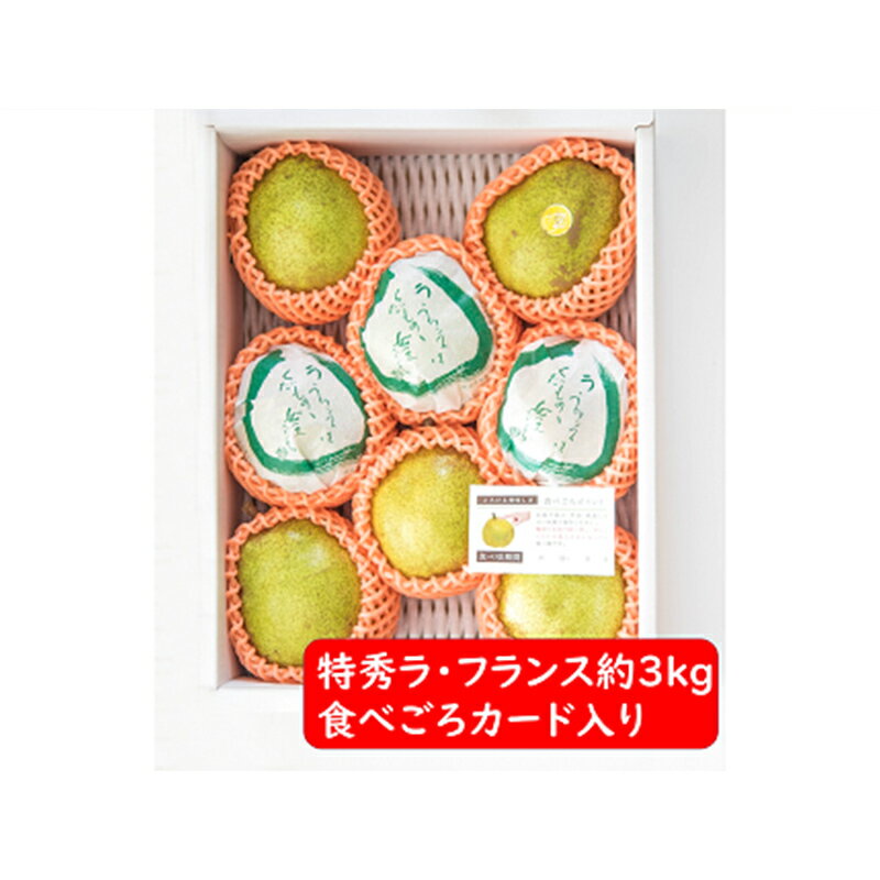 [令和6年産先行予約] ラ・フランス 約3kg (8〜11玉 特秀 2〜5L) [令和6年11月〜発送] 『たけひさ農園』 ラフランス 西洋梨 洋なし 果物 フルーツ デザート 山形県 南陽市 [1087-1]