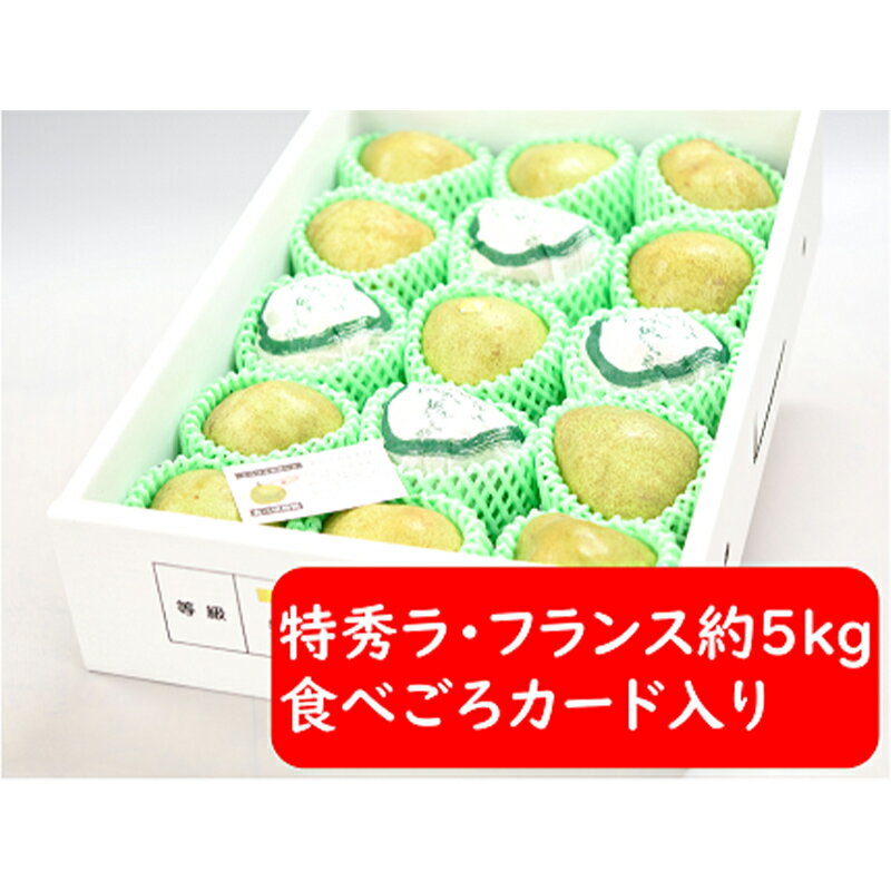 【ふるさと納税】 【令和6年産先行予約】 ラ・フランス 約5kg (15～18玉 特秀 2～4L) 《令和6年11月～発送》 『たけひさ農園』 ラフランス 西洋梨 洋なし 果物 フルーツ デザート 山形県 南陽市 [1088-1]