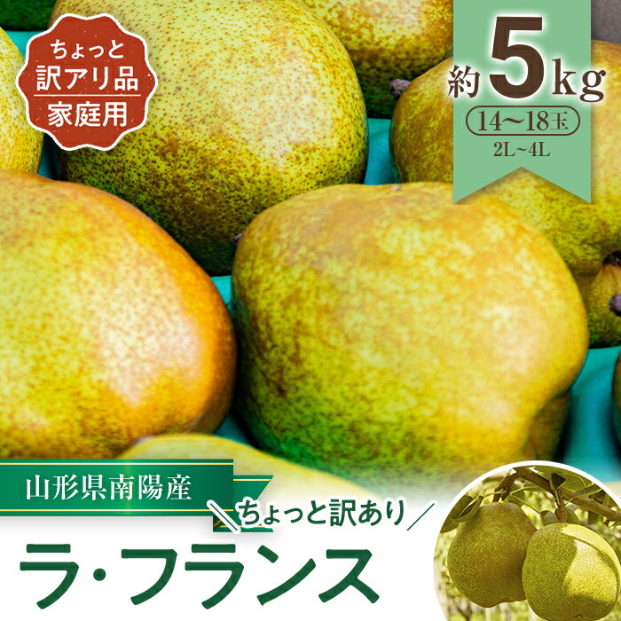 【ふるさと納税】 【令和6年産先行予約】 〈訳あり品 家庭用〉 ちょっと訳あり ラ・フランス 約5kg (14～18玉 2～4L) 《令和6年11月～発送》 『たけひさ農園』 ラフランス 西洋梨 洋なし 果物 フルーツ デザート 山形県 南陽市 [1089]