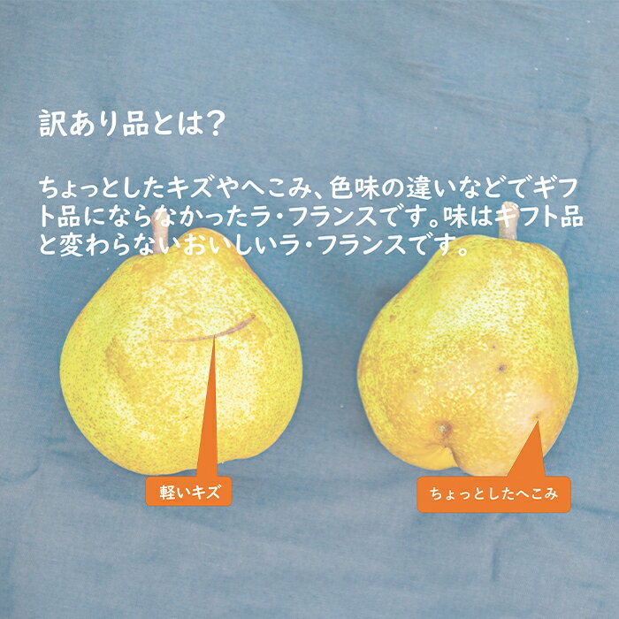 【ふるさと納税】 【令和6年産先行予約】 〈訳あり品 家庭用〉 ちょっと訳あり ラ・フランス 約5kg (14～18玉 2～4L) 《令和6年11月～発送》 『たけひさ農園』 ラフランス 西洋梨 洋なし 果物 フルーツ デザート 山形県 南陽市 [1089]