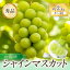 【ふるさと納税】 【令和6年産先行予約】 シャインマスカット 約2kg (3房～4房 秀) 《令和6年9月中旬～発送》 『最上屋』 マスカット ぶどう 種なし 果物 フルーツ デザート 2024年 山形県 南陽市 [1102]