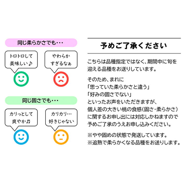 【ふるさと納税】 【令和6年産先行予約】 もも 約3kg (6～11玉) 《令和6年8月下旬～発送》 『生産者 髙橋 賢一』 モモ 果物 フルーツ 産地直送 生産農家直送 山形県 南陽市 [1106]