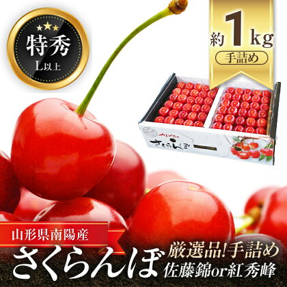 【令和6年産先行予約】 厳選品！手詰め さくらんぼ 約1kg (特秀 L以上) 《令和6年6月中旬～発送》 『マルエ青果』 山形県 南陽市 [1114]