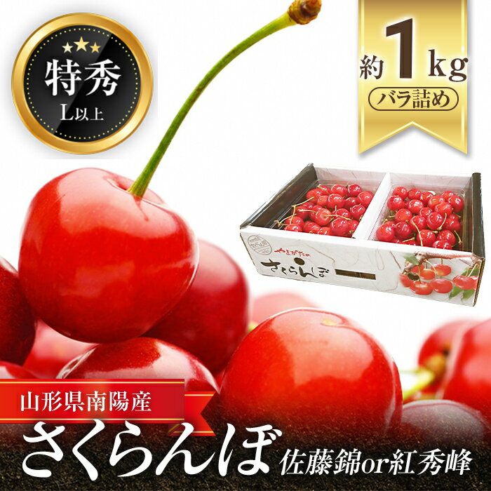 [令和6年産先行予約] さくらんぼ 約1kg (特秀 L以上) [令和6年6月中旬〜発送] 『マルエ青果』 山形県 南陽市 [1115]