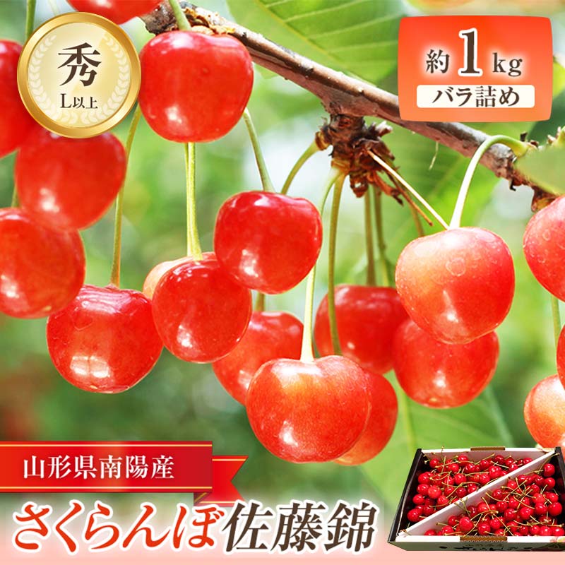 【令和6年産先行予約】 さくらんぼ ｢佐藤錦｣ 約1kg (秀 L以上) バラ詰 《令和6年6月中旬～発送》 『田口農園』 サクランボ 果物 フルーツ 産地直送 生産農家直送 山形県 南陽市 1129