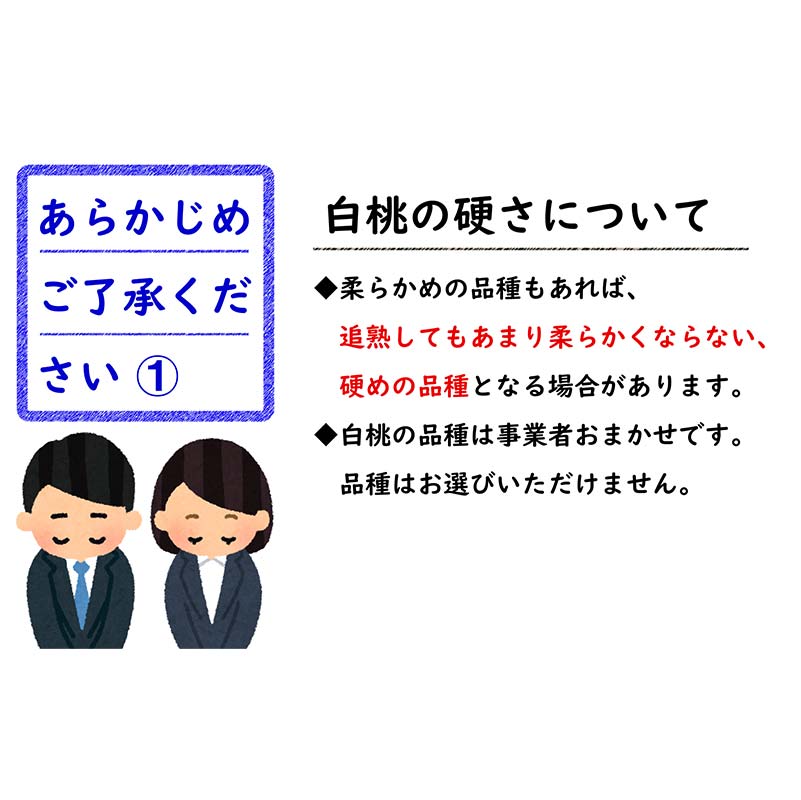 【ふるさと納税】 【令和6年産先行予約】 《定期便3回》 人気フルーツ定期便 『フードシステムズ』 山形県 南陽市 [1149-R6]