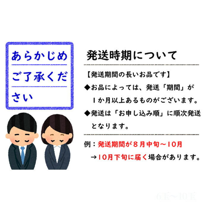 【ふるさと納税】 【令和6年産先行予約】 《定期便3回》 秋冬フルーツ定期便 『フードシステムズ』 山形県 南陽市 [1150-R6]