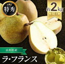 ラ・フランス 【ふるさと納税】【令和6年産先行予約】 JA (特秀) ラ・フランス 約2kg (5玉～6玉) 《令和6年11月上旬～12月上旬》 山形県 南陽市 1159