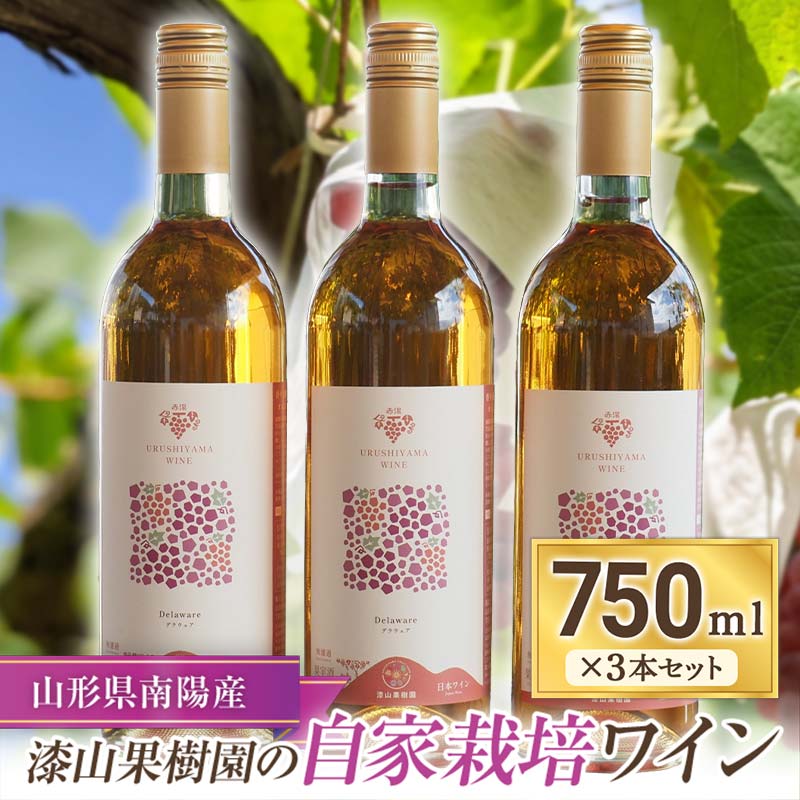 果樹園生まれの 「漆山ワイン (デラウェア)」 750ml×3本セット 『漆山果樹園』 自家栽培 山形県 南陽市 [1168]