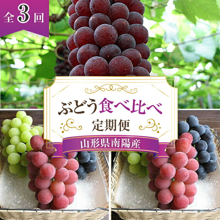 【ふるさと納税】 【令和6年産先行予約】 ぶどう食べ比べ 定期便 3回コース 《令和6年7月～発送》 漆山果樹園 ブドウ 山形県 南陽市 [1179]