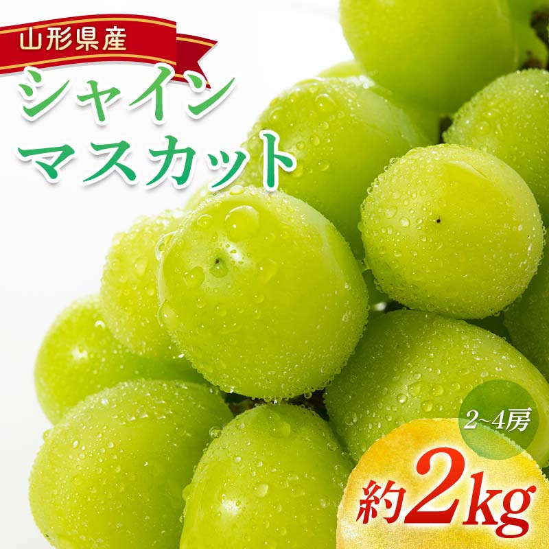 【ふるさと納税】 【令和7年産先行予約】 シャインマスカット 約2kg (2～4房) 《令和7年9月頃～発送》 『南陽中央青果市場』 マスカット ぶどう 種なし 果物 フルーツ デザート 山形県 南陽市 [1205]
