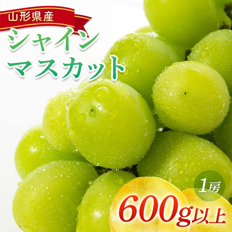 [令和6年産先行予約] シャインマスカット 600g以上 (1房 秀) [令和6年9月頃〜発送] 『南陽中央青果市場』 山形県 南陽市 [1206]