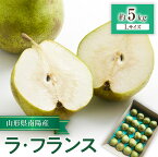 【ふるさと納税】 【令和6年産先行予約】 ラ・フランス 約5kg (19玉 Lサイズ) 《令和6年11月上旬～発送》 『田口農園』 ラフランス 西洋梨 洋なし 果物 フルーツ デザート 山形県 南陽市 [1295]