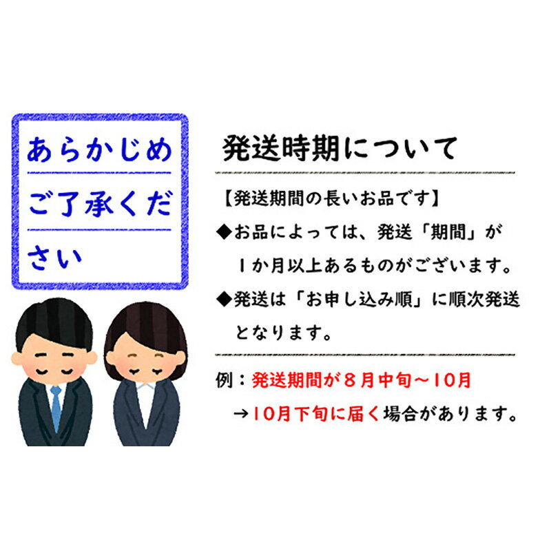 【ふるさと納税】 【令和6年産先行予約】 白桃 約3kg (6～15玉 秀品) 《令和6年8月上旬～9月下旬発送》 『フードシステムズ』 山形県 南陽市 [1384] 3