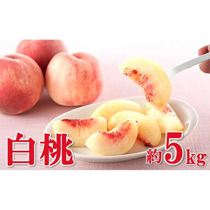【ふるさと納税】【令和7年産先行予約】 白桃 約5kg (8～22玉 秀) 《令和7年8月上旬～9月下旬発送》 『フードシステムズ』 モモ 果物 フルーツ 山形県 南陽市 [1386]