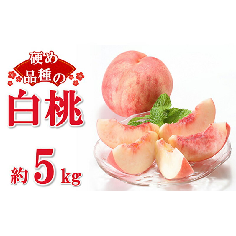 【ふるさと納税】 【令和6年産先行予約】 硬めの白桃 約5kg (8～22玉 秀品) 《令和6年8月下旬～10月上...