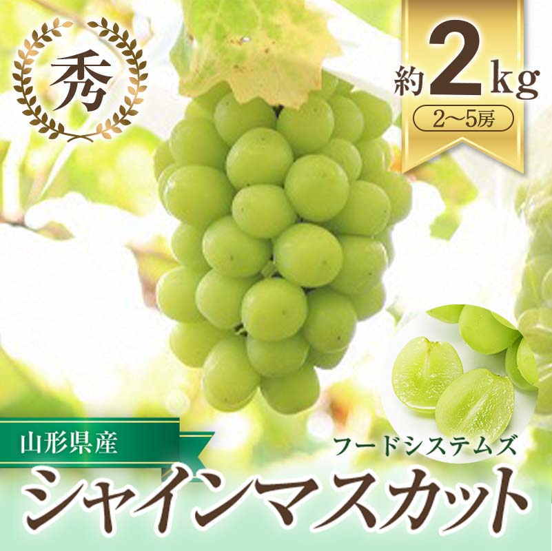 【ふるさと納税】 【令和6年産先行予約】 シャインマスカット 約2kg (2～5房 秀) 《令和6年9月下旬～11月中旬発送》 『フードシステムズ』 山形県 南陽市 [1388-R6]