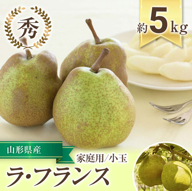 [令和6年産先行予約] [家庭用] 小玉 ラ・フランス 約5kg (20〜25玉 秀) [令和6年10月下旬〜11月下旬発送] 『フードシステムズ』 山形県 南陽市 [1391-R6]