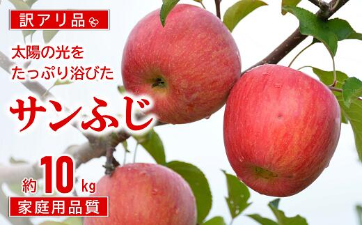 [令和6年産先行予約] [訳あり品 家庭用] JA りんご 「サンふじ」 約10kg (28玉〜46玉) [令和6年11月中旬〜12月中旬発送] 山形県 南陽市 1410