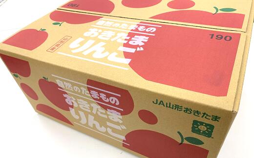 【ふるさと納税】【令和6年産先行予約】 〈訳あり品 家庭用〉 JA りんご 「サンふじ」 約10kg (28玉～46玉) 《令和6年11月中旬～12月中旬発送》 山形県 南陽市 1410