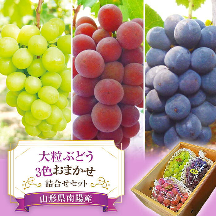 【令和6年産先行予約】大粒ぶどう3色おまかせ詰合せセット (3～4房)《令和6年9月中旬～発送》 『安久津農園』 ぶどう マスカット シャインマスカット ピオーネ クイーンニーナ 詰合せ セット 食べ比べ 果物 フルーツ デザート 山形県 南陽産 [818]