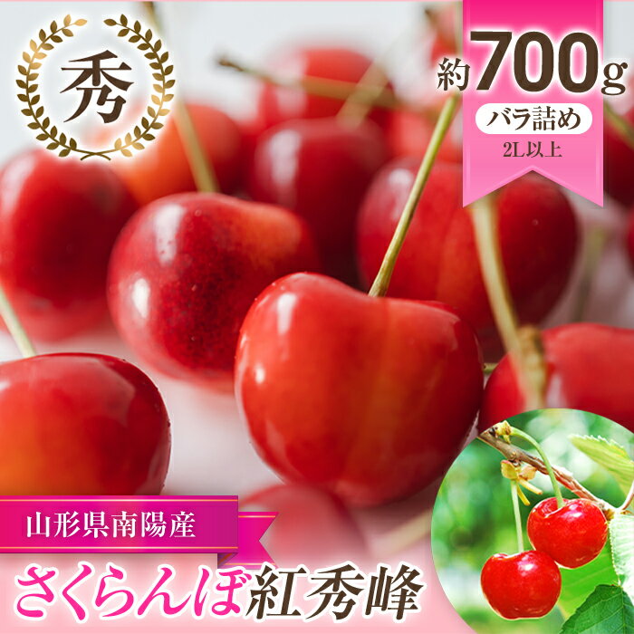 【令和6年産先行予約】 さくらんぼ 「紅秀峰」 約700g (秀 2L以上) バラ詰め 《令和6年6月下旬～発送》 『佐藤勇二』 サクランボ 果物 フルーツ 産地直送 生産農家直送 山形県 南陽市 891