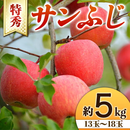 【令和6年産先行予約】 りんご 「サンふじ」 約5kg (13～18玉 特秀) 《令和6年11月下旬～発送》 『生産者 山岸 誠』 山形県 南陽市 [966]