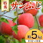 【ふるさと納税】 【令和6年産先行予約】 りんご 「サンふじ」 約5kg (13～18玉 特秀) 《令和6年11月下旬～発送》 『生産者 山岸 誠』 山形県 南陽市 [966]