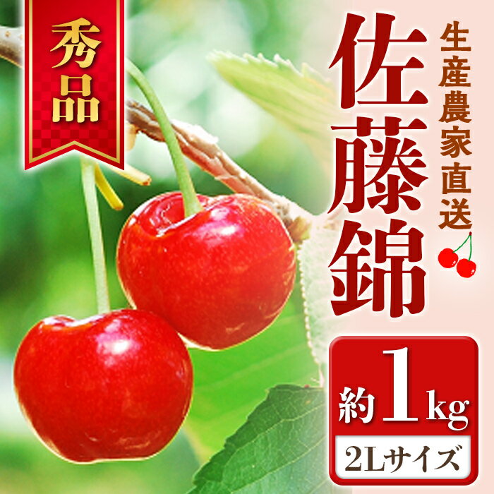 [令和6年産先行予約] さくらんぼ 「佐藤錦」 約1kg (秀 2L) バラ詰め [令和6年6月中旬〜発送] 『田中農園』 サクランボ 果物 フルーツ 産地直送 生産農家直送 山形県 南陽市 [1428]