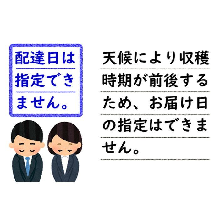 【ふるさと納税】 【令和6年産先行予約】 さくらんぼ 「佐藤錦」 約1kg (秀 2L) バラ詰め 《令和6年6月中旬～発送》 『田中農園』 サクランボ 果物 フルーツ 産地直送 生産農家直送 山形県 南陽市 [1428]