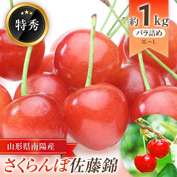 さくらんぼ 「佐藤錦」 約1kg (約500g×2パック 特秀 L〜3L) バラ詰め [令和6年6月中旬〜発送] サクランボ 山形県 南陽市 [671]