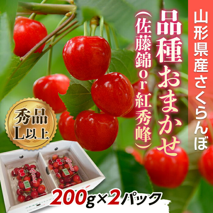 【令和6年産先行予約】 さくらんぼ 「佐藤錦または紅秀峰」 400g (200g×2パック 秀品 L以上) 《令和6年6月下旬～発送》 『南陽中央青果市場』 小分け サクランボ 果物 フルーツ 市場直送 山形県 南陽市 [1475]