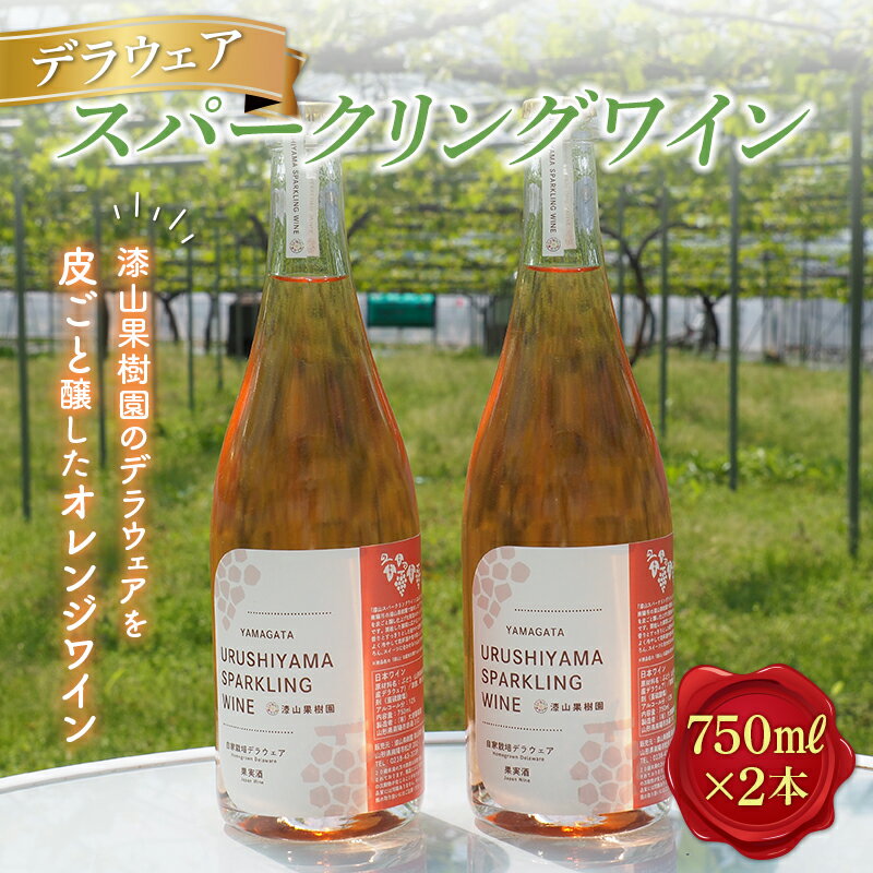 果樹園生まれの 「漆山スパークリングワイン (デラウェア)」 750ml×2本セット 『漆山果樹園』 自家栽培 山形県 南陽市 [1515]
