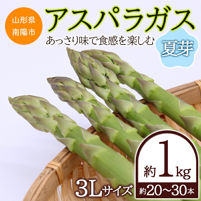 【ふるさと納税】 アスパラガス（夏秋芽） 3Lサイズ 約1kg（約20～30本） 1527のサムネイル