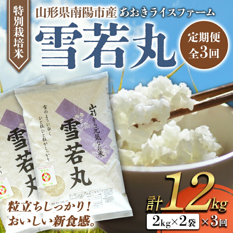 【ふるさと納税】 【あおきライスファーム】南陽市産 特別栽培米雪若丸2kg×2袋《定期便 全3回（計12kg...