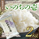 【ふるさと納税】 令和5年 【あおきライスファーム】南陽市産 特別栽培米 いのちの壱 2kg (2023年10月中旬より発送予定) 1595