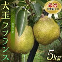 返礼品詳細 名称 ラ・フランス 内容量 正味5kg　★化粧箱入り ※玉の大きさは4L（14玉）、5L（12玉）6L（10玉）のいずれかの商品を発送いたします。 申し訳ございませんが、サイズと玉数は選べませんので予めご了承ください。 産地 山形県南陽市 消費期限 - 保存方法 常温 配送方法 常温 発送期日 令和6年11月中旬～12月下旬にかけて順次発送予定 ※生育状況によって発送時期が変更になる場合がございます。 事業者 船中農園 商品管理番号 F22F-509 ※注意事項 ※画像はイメージです。パッケージが変更になる場合がございます。 ※大変申し訳ございませんが、沖縄県および離島への発送はいたしかねますのでご了承ください。 ・ふるさと納税よくある質問は こちら ・寄付申込みのキャンセル、返礼品の変更・返品はできません。あらかじめご了承ください。【ふるさと納税】 【令和6年産先行予約】 厳選！！大玉ラ・フランス 約5kg (10～14玉 4～6L) 化粧箱入り 《令和6年11月中旬～発送》 『船中農園』 山形県 南陽市 【令和6年産先行予約】 厳選！！大玉ラ・フランス 約5kg (10～14玉 4～6L) 化粧箱入り 《令和6年11月中旬～発送》 『船中農園』 山形県 南陽市 果樹王国と言われる山形県の中でも、この南陽の地は稀にみる果樹栽培に適した産地であります。 当園のラ・フランスの中でも大玉の厳選品をお届け致します。 ラ・フランスは食べ頃を判断するのが難しいため、発送の際に最も美味しく召し上がれる食べ頃の日にちを明記致します。 果物の女王と言われるラ・フランスのとろける食感と高貴な香りをご賞味ください。 【あらかじめご了承ください】 ・梱包には細心の注意を払い出荷しますが、輸送中の振動などを原因とする若干の”押し傷”等が入る場合もありますので、あらかじめご了承ください。 ・生育状況により配送時期が前後する場合がございます。 ・天候により収穫時期が前後するためお届け日の指定はできません。 ※画像はイメージです。パッケージが変更になる場合がございます。 ※大変申し訳ございませんが、沖縄県および離島への発送はいたしかねますのでご了承ください。 検索キーワード：山形 南陽市 洋梨 洋ナシ 洋なし ラフランス ラ・フランス 人気 大玉 化粧箱入 【船中農園】 山形県南陽市の船中農園（ふななかのうえん）と申します！！ りんご、ラ・フランス、さくらんぼを主に栽培しております。 旬の美味しい果物を農家直送でお届けします！ 地元のお客様から人気の果物を皆様にもお届けいたします。 当農園自慢の低農薬、新鮮ジューシーで高品質な果物を、是非ご覧・ご検討ください！！