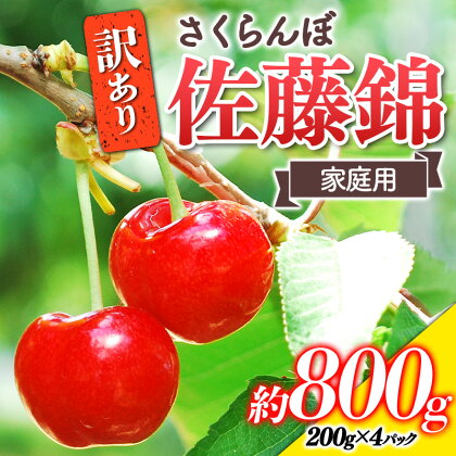 【令和6年産先行予約】 〈訳あり品 家庭用〉 さくらんぼ ｢佐藤錦｣ 約800g (200g×4パック Mサイズ) 《令和6年6月中旬～発送》 『田口農園』 サクランボ 生産農家直送 小分け 果物 フルーツ 山形県 南陽市 1691