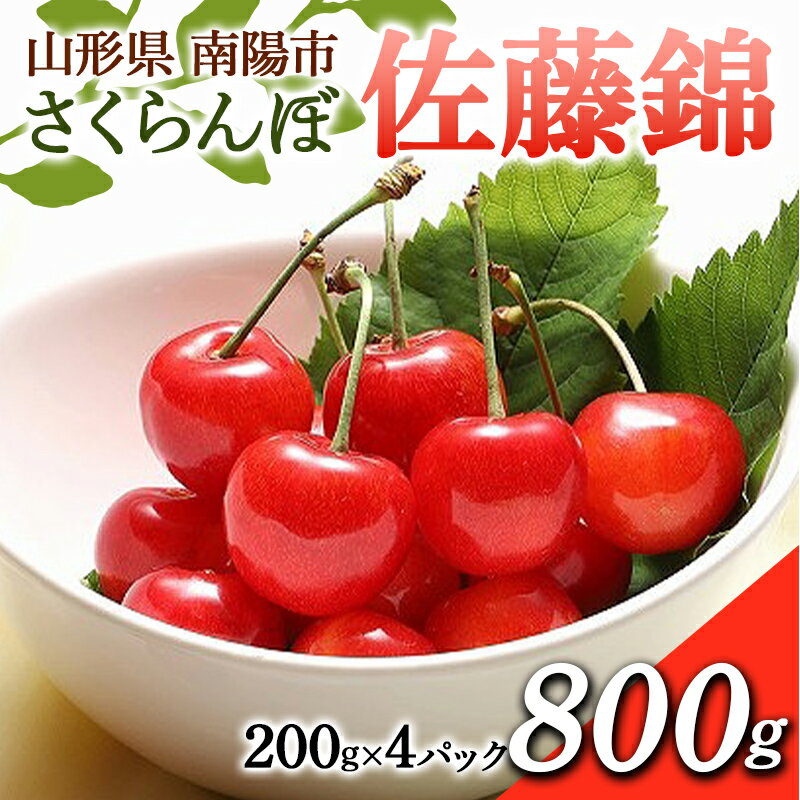 【ふるさと納税】 【令和6年産先行予約】 さくらんぼ 「佐藤錦」 800g (200g×4パック) 《令和6年6月中旬～7月中旬発送》 『フードシステムズ』 山形県 南陽市 [1694]