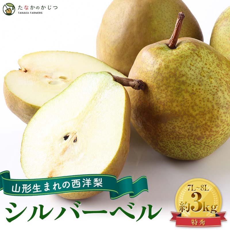 【ふるさと納税】 【令和6年産先行予約】大玉 シルバーベル 約3kg (4～6玉入 特秀 7L～8L ) 《令和6年12月上旬～発送》『田中農園』 西洋梨 洋なし 果物 フルーツ 山形県 南陽市 [1737] その1