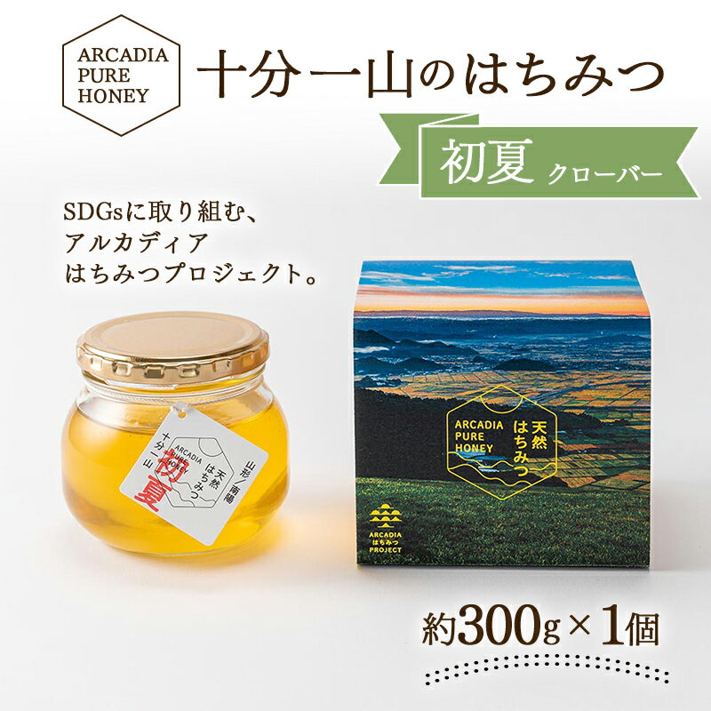十分一山のはちみつ(約300g×1個)初夏採れ[ ARCADIA PURE HONEY ]SDGsに取り組むアルカディアはちみつプロジェクト [1746]