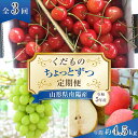 【ふるさと納税】くだもの”ちょっとずつ”定期便 （全3回） 令和5年産 ［南陽中央青果市場］ 山形県 南陽市 1013-R5