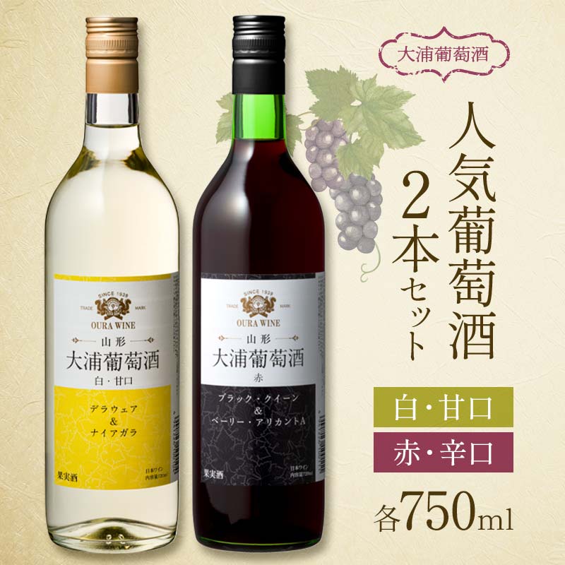 大浦葡萄酒 人気葡萄酒 750ml×2本セット 『(有)大浦葡萄酒』 赤ワイン 白ワイン 甘口 辛口 酒 山形県 南陽市 [1893]