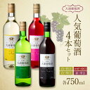 【ふるさと納税】 大浦葡萄酒 人気葡萄酒 750ml×4本セット 『(有)大浦葡萄酒』 赤ワイン 白ワイン ロゼ 甘口 辛口 中口 酒 山形県 南陽市 [189...